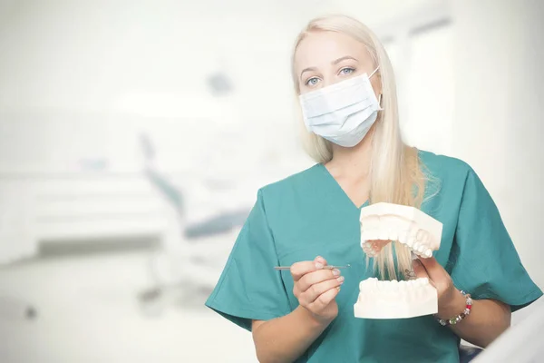 Femme dentiste avec une prothèse dentaire souriante — Photo