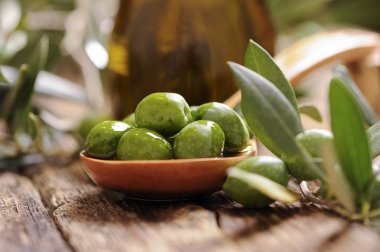 Zeytin ve zeytin yağı