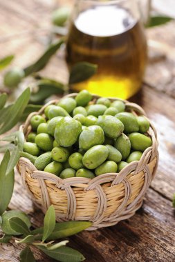 Zeytin ve zeytin yağı