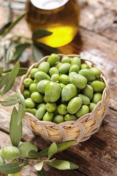 Olives et huile d'olive — Photo