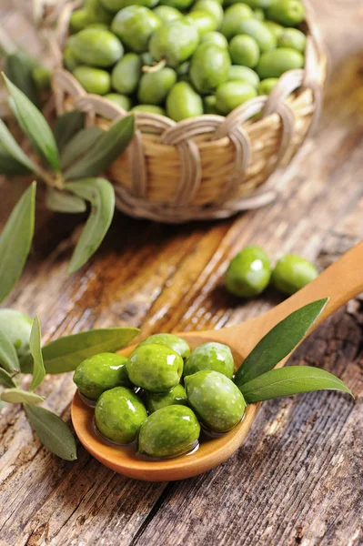 Olives et huile d'olive — Photo