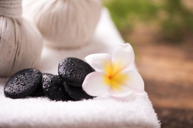 Havlu ve plumeria Spa taşlarla