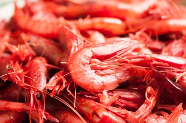 Taze karides yemek için hazır