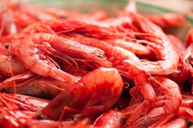 Taze karides yemek için hazır