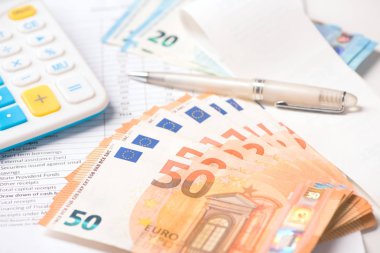 Euro para ve hesap makinesi