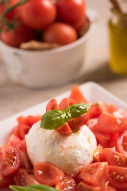 Caprese salatası. Mozzarella peynirli salata domates ve fesleğen ile
