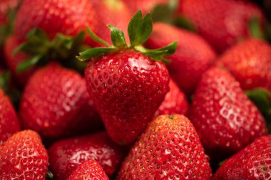 Çilek yapraklı, tek biçimli çilek. Yaklaş.