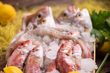 Bir balık dükkanının tezgahında taze balık. Yaklaş.