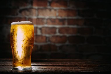 Kopyalama alanı olan bir duvarda genç kız birası 