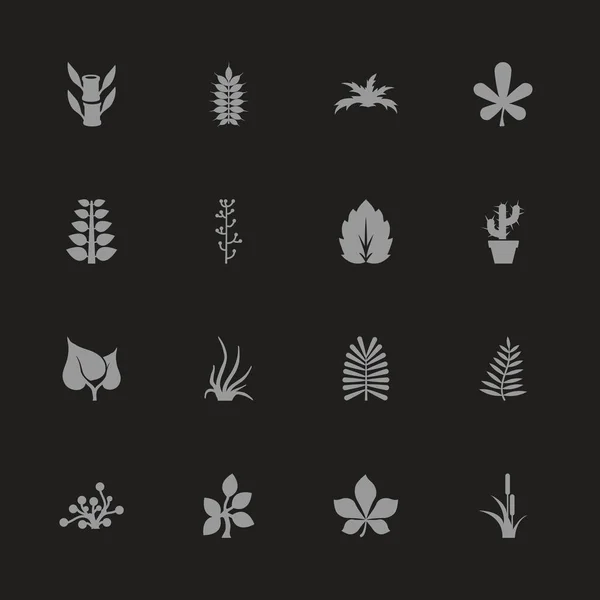 Plantes - Icônes vectorielles plates — Image vectorielle