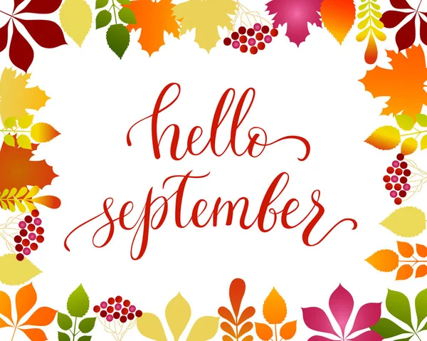 Vector lifestyle lettering Hello September — Stock Vector