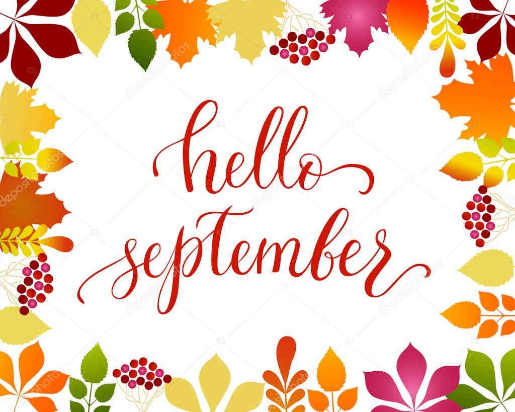 Vector lifestyle lettering Hello September on background with wreath of leaves. Hello September brush ink typography for photo overlays, t-shirt print, flyer, poster design, logo, banner.