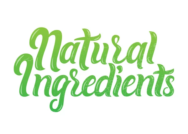 Vector illustration of Narural Organic Ingredients — Stock Vector