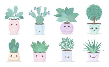 sevimli ev bitkisi çiçek tencerede