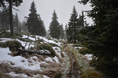 Giant Mountains, Çek Cumhuriyeti