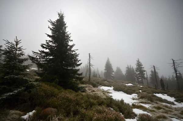 Krkonoše v České republice — Stock fotografie