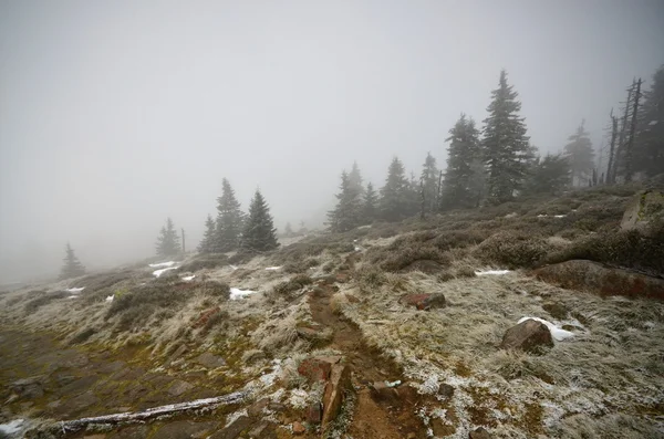 Montagnes géantes en République tchèque — Photo