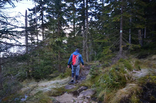 Reuzengebergte in Tsjechië — Stockfoto