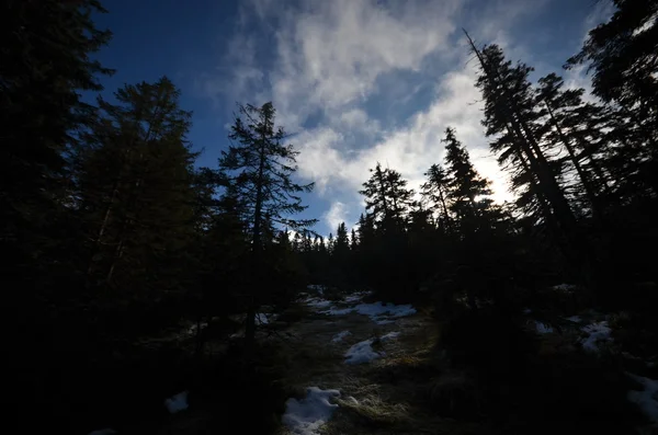 チェコ共和国での巨大な山 — ストック写真