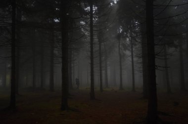 Jizera Mountains