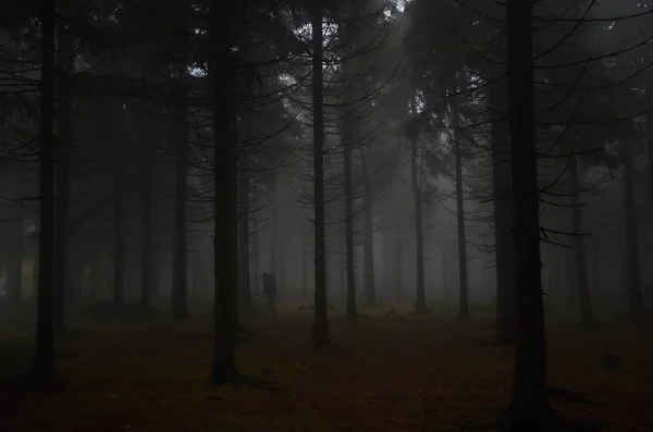 Jizera Mountains — Stok fotoğraf