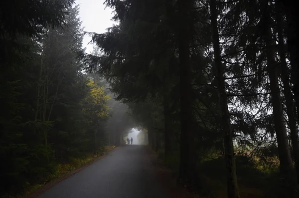 A Jizera Mountains — Stock Fotó