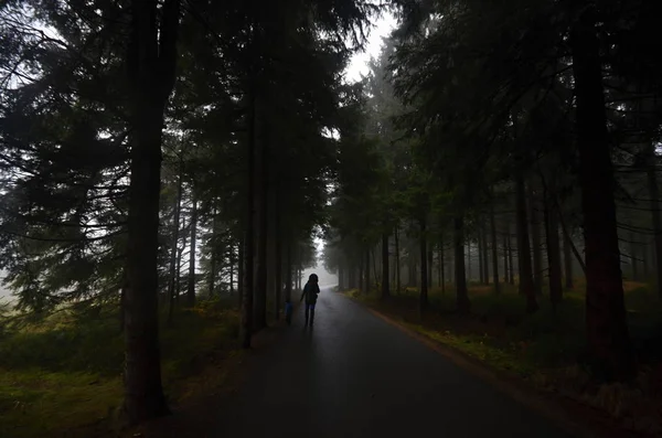 Das Isergebirge — Stockfoto