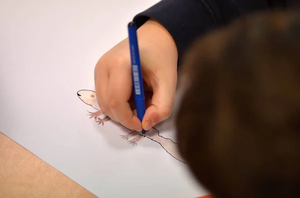 Desenho na escola — Fotografia de Stock