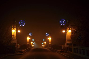 Doğada küçük köpek