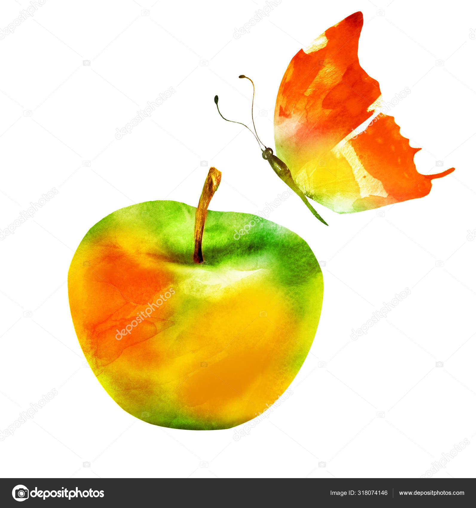 リンゴ写真素材 ロイヤリティフリーリンゴ画像 Depositphotos