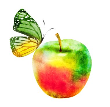 Beyaz üzerine suluboya elma ve kelebek