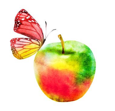 Beyaz üzerine suluboya elma ve kelebek