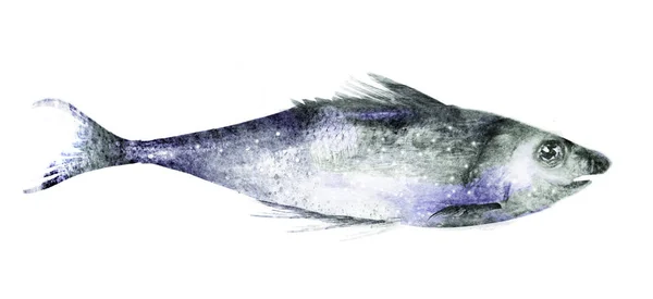 Акварельна Риба Білому Тлі — стокове фото