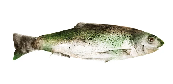 Aquarell Fisch Auf Weißem Hintergrund — Stockfoto