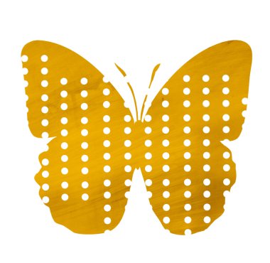 Beyaz halkalı suluboya kelebek