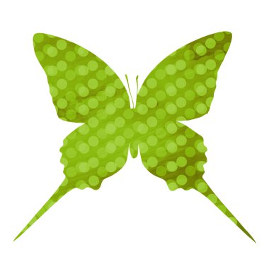 Beyaz halkalı suluboya kelebek