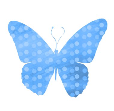 Beyaz halkalı suluboya kelebek