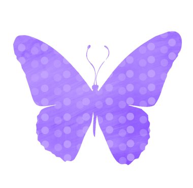 Beyaz halkalı suluboya kelebek