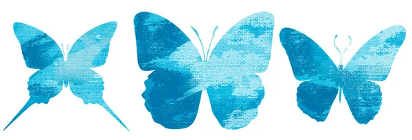 무늬가 나비와 — 스톡 사진
