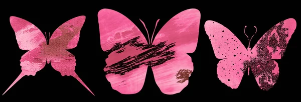 무늬가 나비와 — 스톡 사진