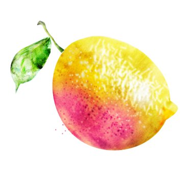beyaz üzerine suluboya limon