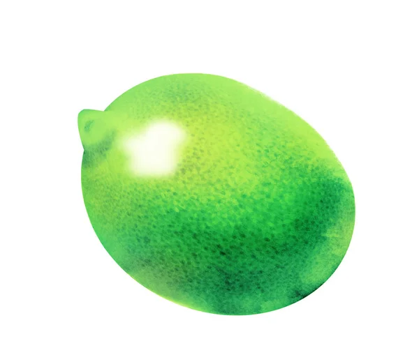 Akvarell Lime Citron Vitt — Stockfoto