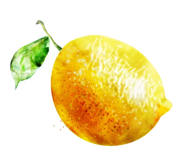 在白色的水彩柠檬 — 图库照片