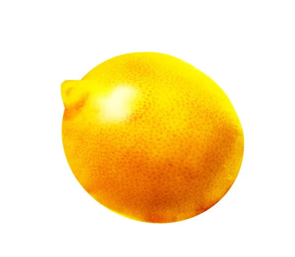 Watercolor Lemon White — Stock Photo, Image