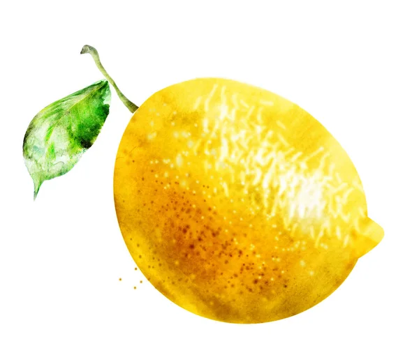 Акварельний Лимон Білому — стокове фото