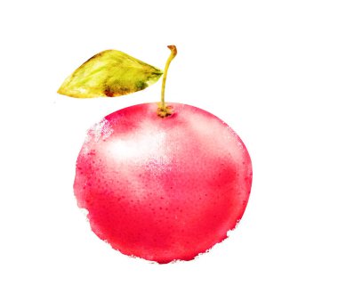 Beyaz turuncu turuncu turunçgil meyvesi