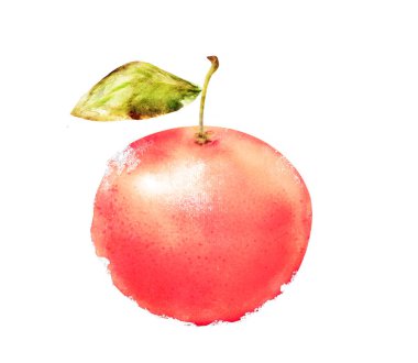 Beyaz turuncu turuncu turunçgil meyvesi