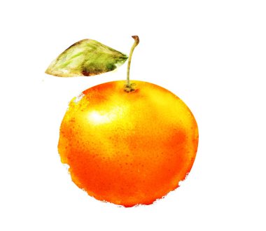 Beyaz turuncu turuncu turunçgil meyvesi