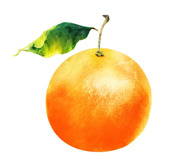 白色橙色柑橘类水果 — 图库照片