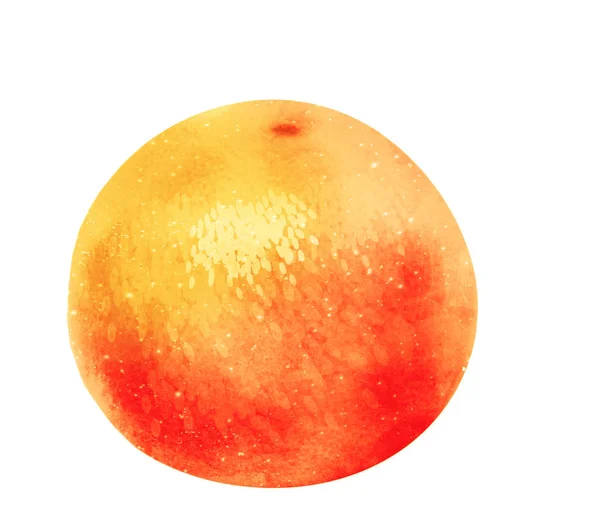 Akvarell Apelsincitrusfrukt Vit — Stockfoto